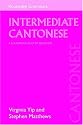 Intermediate Cantonese: A Grammar and Workbook (Routledgegrammars)