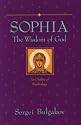 Sophia, the Wisdom of God: An Outline of Sophiology (Library of Russian Philosophy)