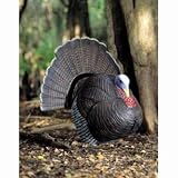 Feather Flex® Signature Series Tommy Jake Full Strut Turkey Decoy