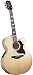 Takamine EG523SC Jumbo Cutaway Acoustic Electric Guitar (Natural Finish)