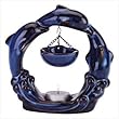 Jumping Blue Dolphins Oil Warmer