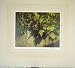 Painting Shadows Paul Monteagle Cat Green Leaves Print