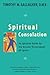 Spiritual Consolation: An Ignatian Guide for Greater Discernment of Spirits