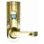 iTouchless Bio-Matic Fingerprint Door Lock For Right Hand Door, Gold