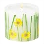 Darling Daisies Candle