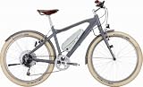 Bulls Sturmvogel Strom 13Ah Unisexfahrrad 26 Zoll grau 42 cm Cruiser 9 Gang-Kettenschaltung