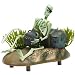 Action Air&reg; Pirate Skeleton w/Jug & Treasure Chest Live-Action Aerating Aquarium Ornament