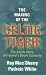 The Making of the Celtic Tiger
