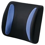 HoMedics BKL-100 Squish Massaging Lumbar Massager with Heat
