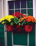 Regal Window Flower Box