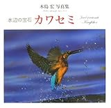 ���ӂ̕�� �J���Z�~�ؓ��G�ʐ^�W (NC PHOTO BOOKS)