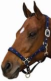 Roma Deluxe Trim Halter