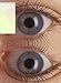 Warp Vision - The Videos 1989 To 2004 [DVD]