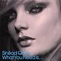 What You Need Is... [CD 2]