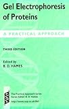 Gel Electrophoresis of Proteins: A Practical Approach
