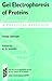 Gel Electrophoresis of Proteins: A Practical Approach (Practical Approach Series)