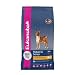 Eukanuba Mature & Senior kleine & Mittelgrosse Rassen Hundefutter 3kg