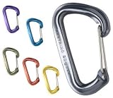 Black Diamond Neutrino Carabiner