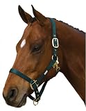ROMA Classic Adjustable Halter with Snap, Hunter Green, Full
