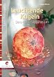 Leuchtende Kugeln: Deko-Ideen f�rs ganze Jahr