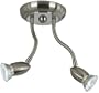 Pro Track® Double Gooseneck Ceiling Light