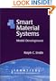 Smart Material Systems: Model Development (Frontiers in Applied Mathematics)