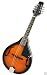 Musical Instruments : Noteworthy A-Style Mandolin