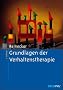 Grundlagen der Verhaltenstherapie