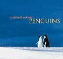 Mitsuaki Iwago's Penguins