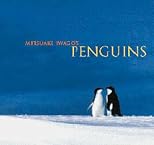 Mitsuaki Iwago's Penguins