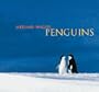 Mitsuaki Iwago's Penguins