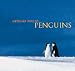 Mitsuaki Iwago's Penguins