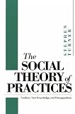 The Social Theory of Practices: Tradition, Tacit Knowledge, and Presuppositions