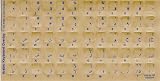 Transparent Arabic Keyboard Stickers - Blue for Light Colored (Ivory) Keyboards