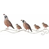 Wall Decor Quail (23x10) - Regal Art #R231
