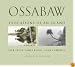 Ossabaw: Evocations of an Island