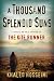 Books : A Thousand Splendid Suns [THOUSAND SPLENDID SUNS]