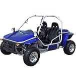 Go Kart 800cc XLarge with CD/Radio
