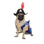 Pirate Pup Costume