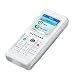 Electronics : Netgear SPH101 VOIP And Skype Compatible Internet Telephone With Wi-fi