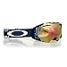 Oakley Airbrake Snow Goggle