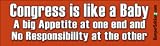 Congress Is Like A Baby - Funny Bumper Stickers (Medium)