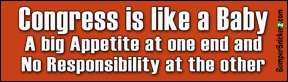 Congress Is Like A Baby - Funny Bumper Stickers (Medium)