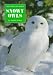 Snowy Owls (Creatures in White Series)