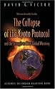 The Collapse of the Kyoto Protocol and the Struggle to Slow Global Warming (Council on Foreign Relations Book)