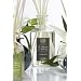 Antica Farmacista Home Ambience Perfume - Casablanca