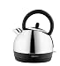 Kenwood SK630 Stainless Steel Kettle