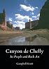 Canyon de Chelly: Its People and Rock Art