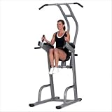 8522 Vertical Knee Raise