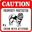 CAUTION: CHOW PROTECTION dog warn sign